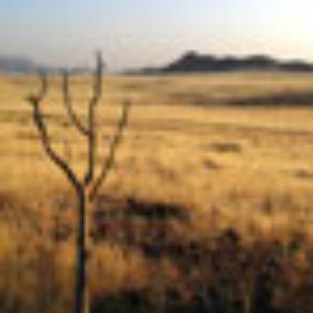 Tripathi Misthan Bhandar